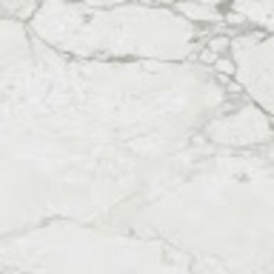 Meet your Posher, Allie